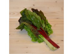 Blette à carde / Botte